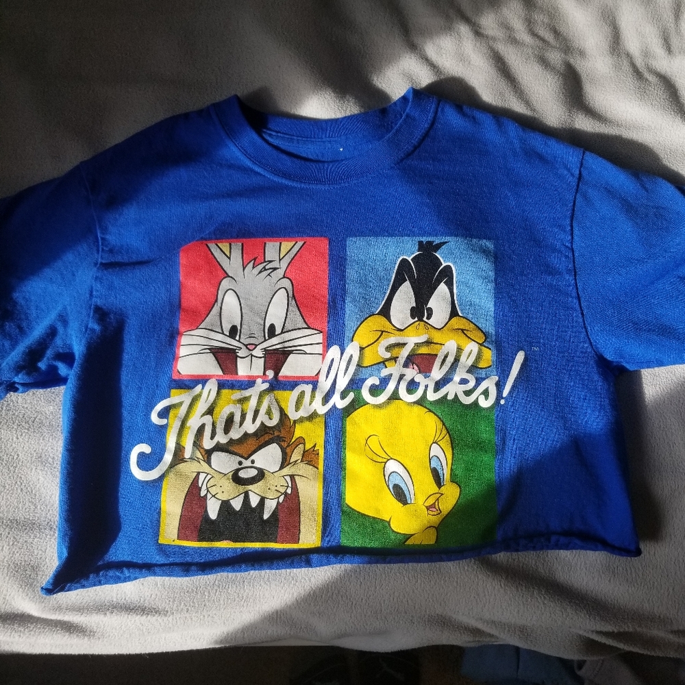Small Looney Toons cropped blue shirt